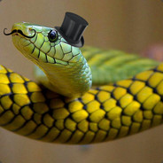 Aristocratic Snake