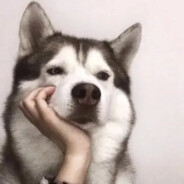 我随秋水揽星河