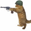 Revolver Cat