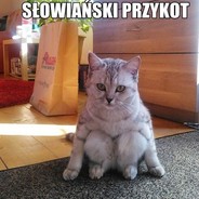 Kocopol