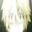 invyt3rヅ