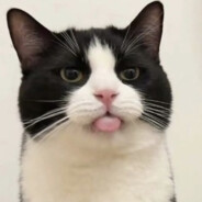 骂我的替我挡灾