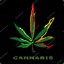 Cannabis(G-Rex)