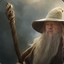 Gandalf the grey(Иду лес)