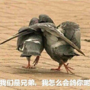卷