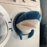 你将相思赋予谁