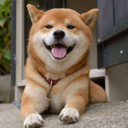 tang弟弟の老父亲