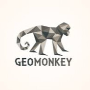geomonkey avatar