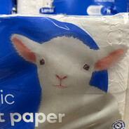 Elklima1 - steam id 76561199189698909