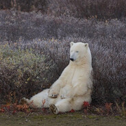 S 7 - steam id 76561199851033461