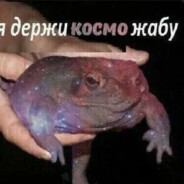 Держи_жабу