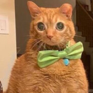 Rob - steam id 76561198065678510