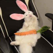 你压到我腿毛了