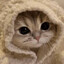 meow