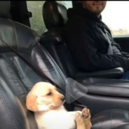 甜甜的妹妹也有咸咸的味道