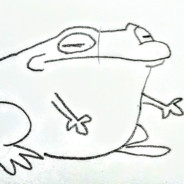 Funky Frog