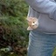 Pocket Pussy