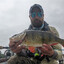Perch
