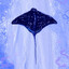 its manta be