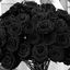 black_rose