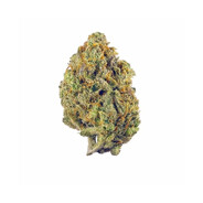 Ｌｅｍｏｎ Ｈａｚｅ