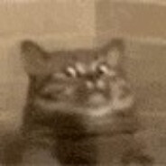 你的好友新之助