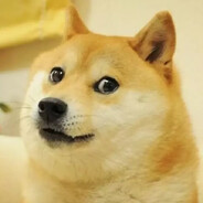 FerNNN - steam id 76561198798437180