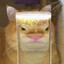 BarBoss