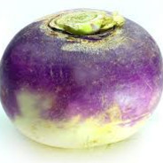 Rutabaga Sombre