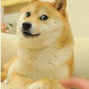 白给新手  螃蟹水货