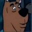 Scooby Dong