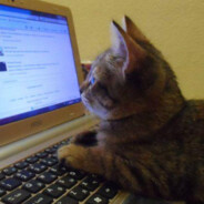 the cum in dog bmw technician