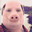 John Pork