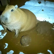 Obsranejaja-skins.army.