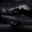 BlackSnake