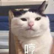 Br0cc0l1