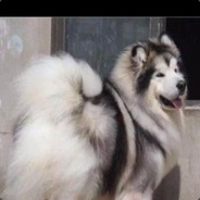 难忘恩怨难望你丶