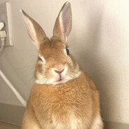 AAAAA莲藕打孔老韩