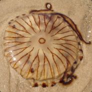 Kenbar Saunders - steam id 76561197960815157
