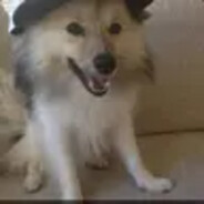 Joachim's avatar