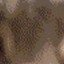 player-avatar