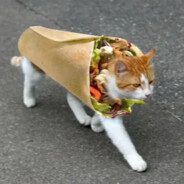 ты 'гений' чел