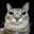 Memo Rex Commander's Avatar