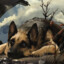 The Dogmeat