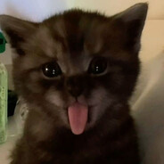 nikr1ksss - steam id 76561199627592008