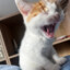 Caut!on