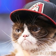 JV penE Wadu Hek Koteł Młody