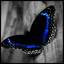 cr.'s avatar