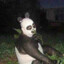 Mr_Panda