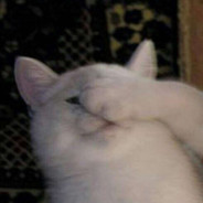 睡眠充足精神良好